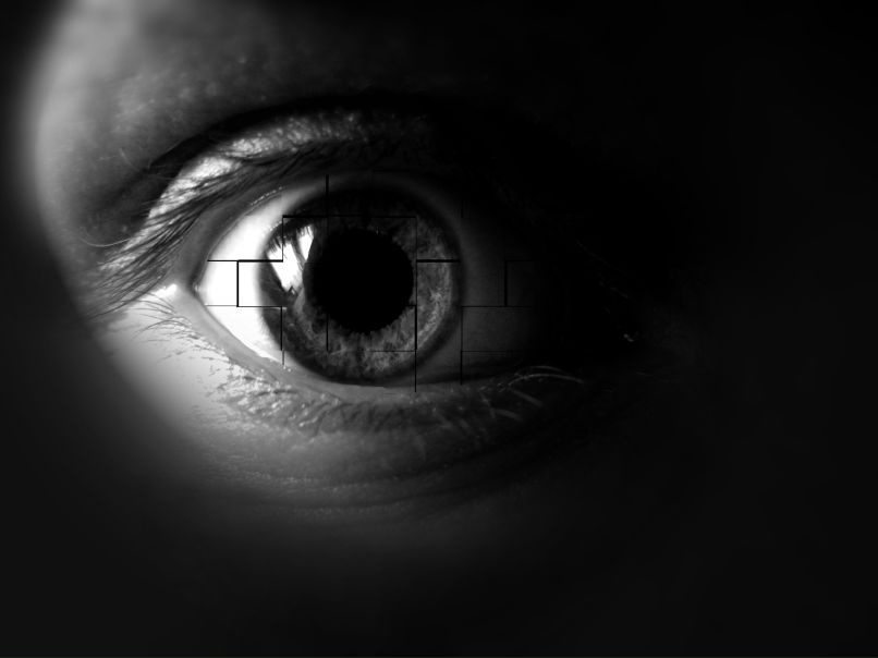 Никита Заскальнюк | Санкт-Петербург