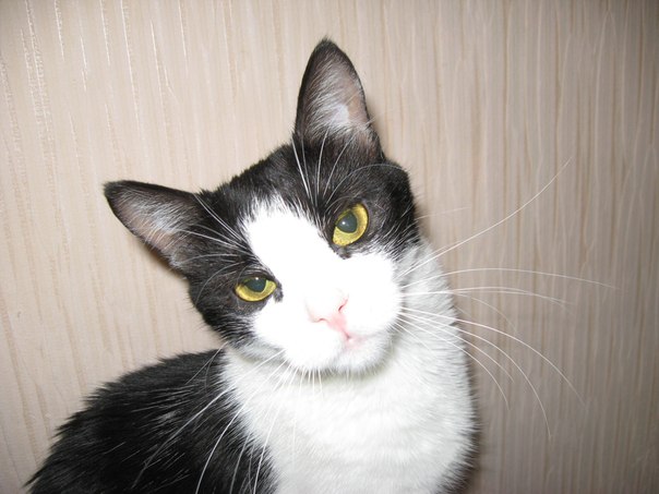 №89, Евгений Курасов, 40 лет, Киев №89, Евгений Курасов, 40 лет, Киев