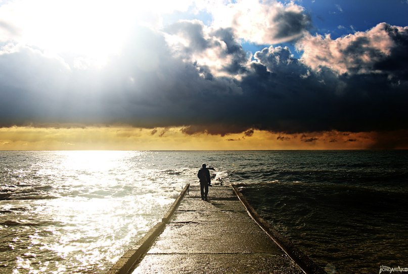 Елена Ширяева | 