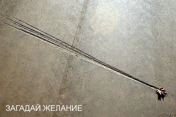 №2, Юлия Нырова, 39 лет, Тюмень №2, Юлия Нырова, 39 лет, Тюмень