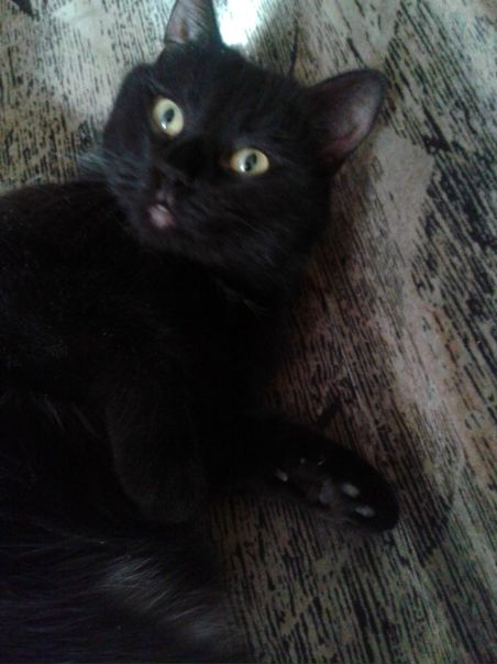 №7, Юлия Цыкалюк, 35 лет, Киев №7, Юлия Цыкалюк, 35 лет, Киев