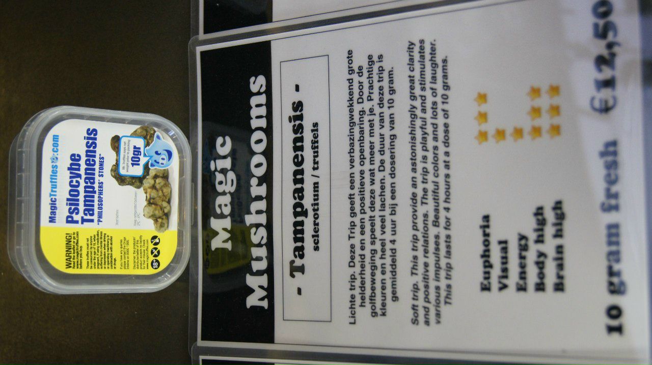 Олег Шапак | Санкт-Петербург