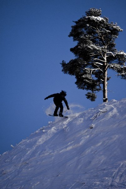 Макс Фёдоров | Санкт-Петербург