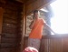 Владимир Шутов фотография #10