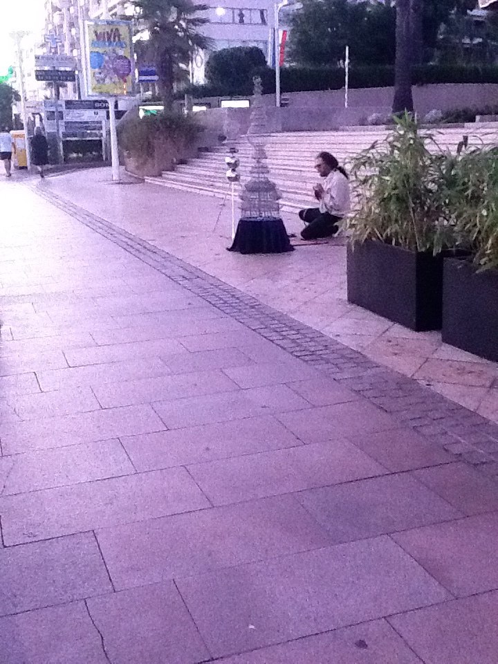 Светлана Рычкова САТЬЯРИ | Вятские Поляны