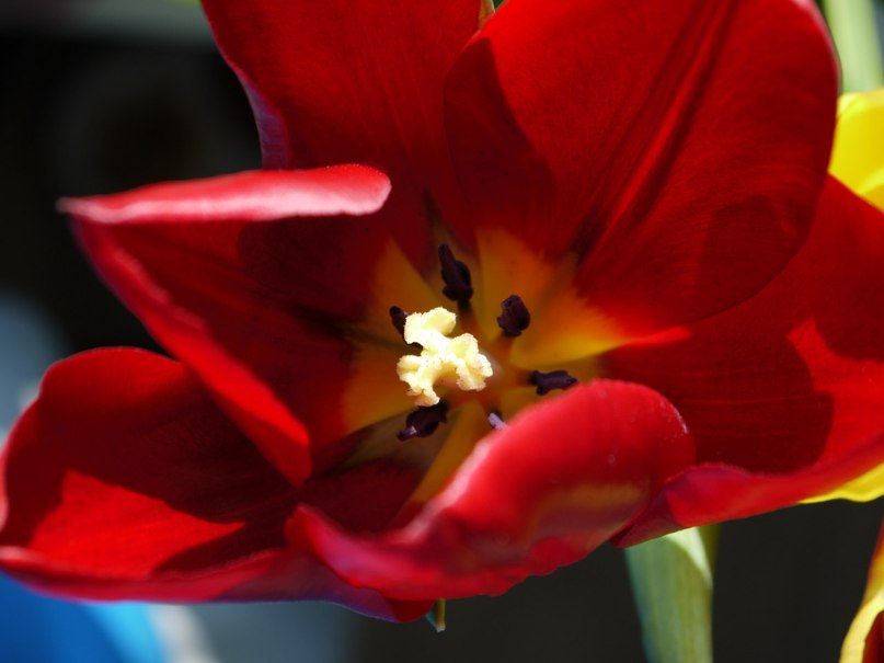 Евгений Евдокимов | Тюмень