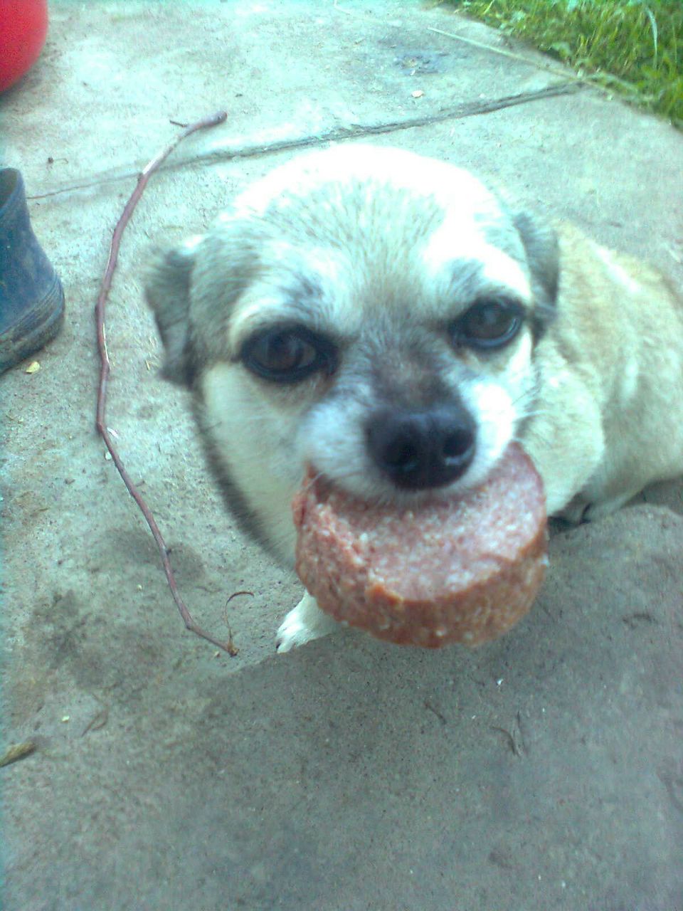 Василь Сєргеєв | Долина