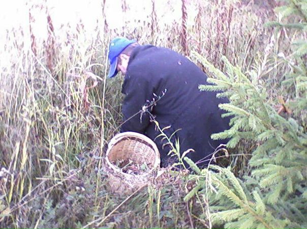 №8, Андрей Липовцев №8, Андрей Липовцев