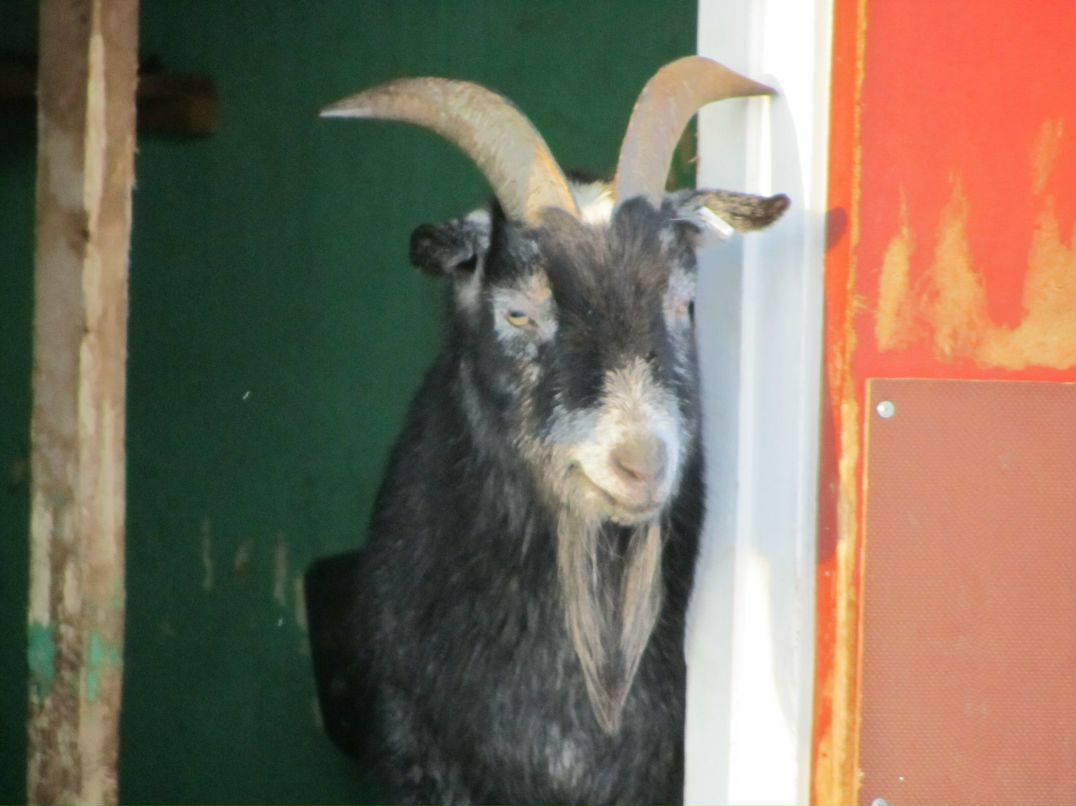 Саша Ромашов | Якутск