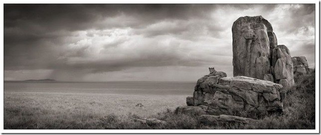 Михаил Кириллов | Санкт-Петербург