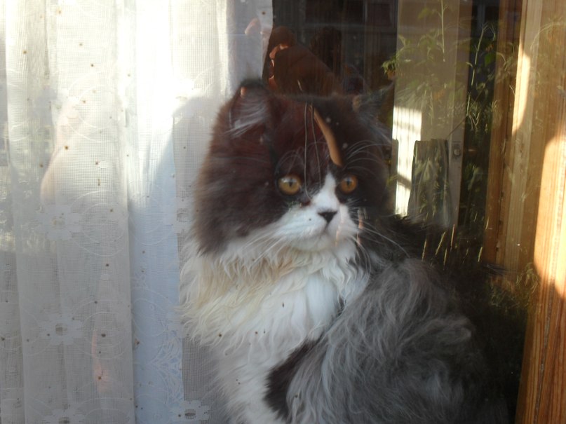 Александр Ежов | Нижний Тагил