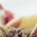 №76, Дима Кулица, Одесса №76, Дима Кулица, Одесса