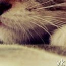 №98, Дима Кулица, Одесса №98, Дима Кулица, Одесса