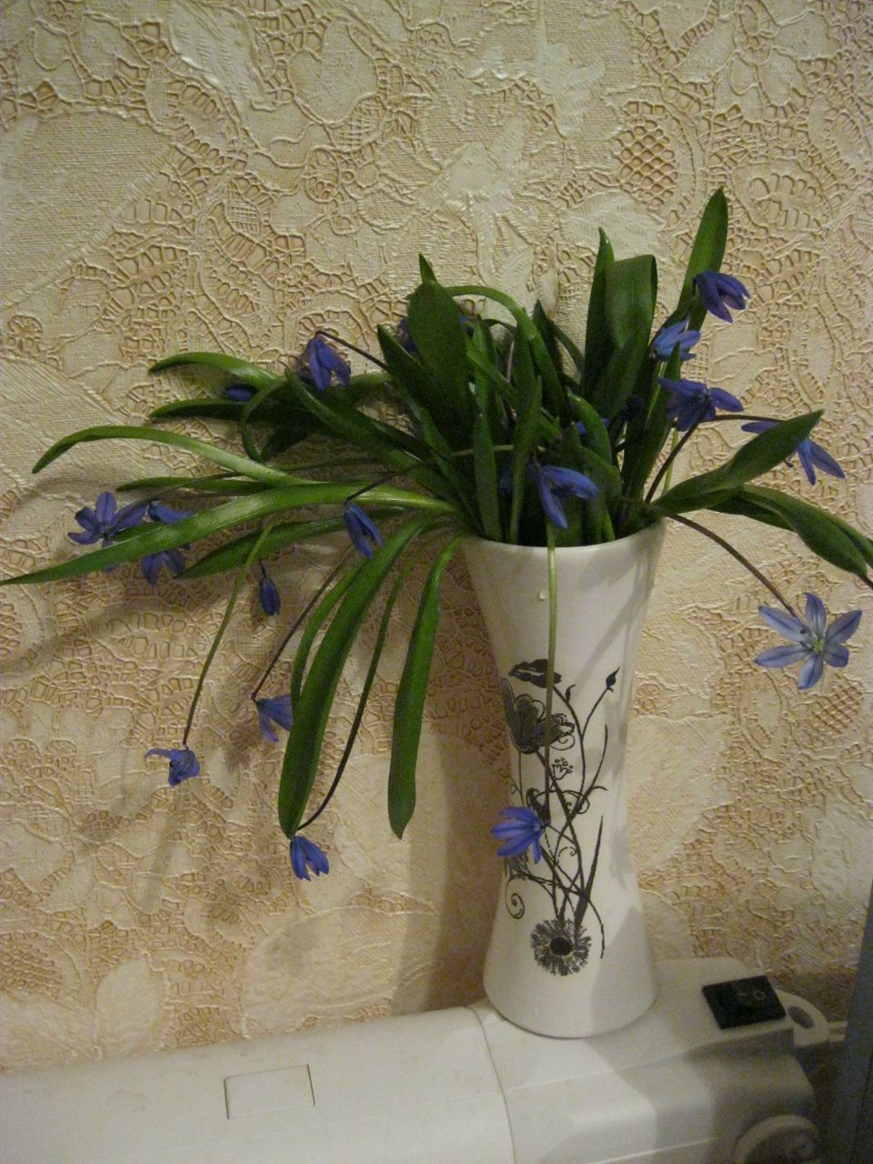 Раиса Кова | 