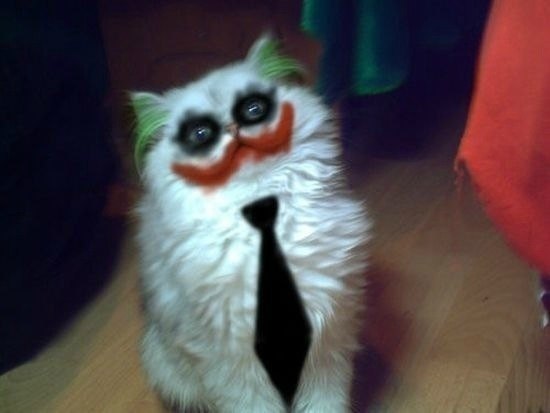 Андрей Головач 06.01.12 | Сновск / Щорс