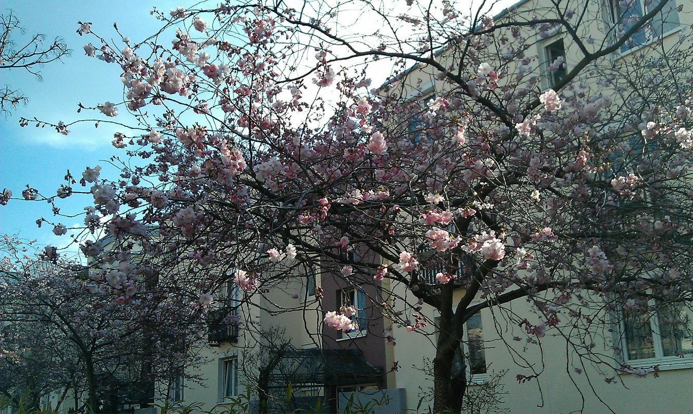 Дмитрий Шушпанов | Karlsruhe