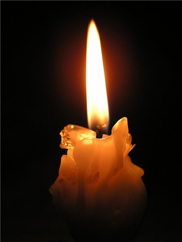 №75, Анастасия Бискуп-Быкова, Oak Ridge №75, Анастасия Бискуп-Быкова, Oak Ridge