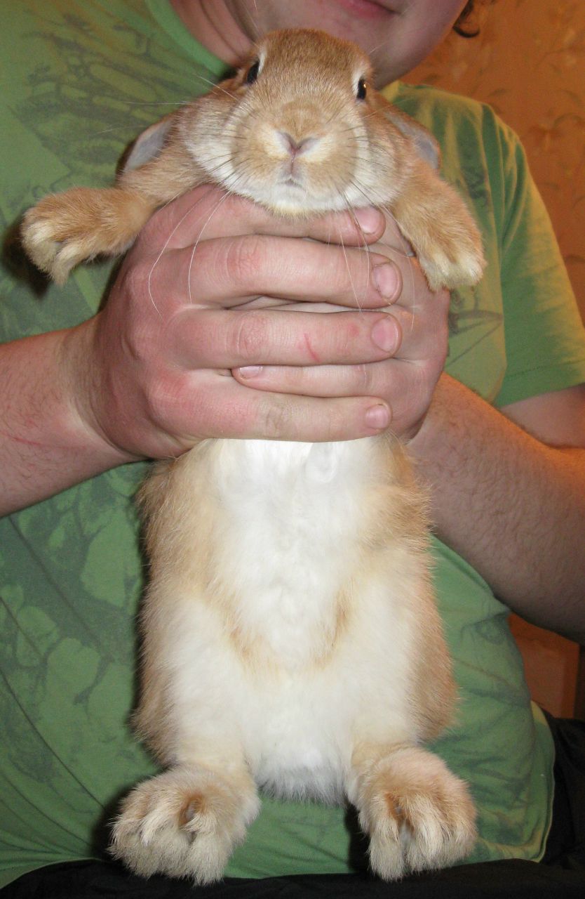 Анна Гизатулина | Вологда