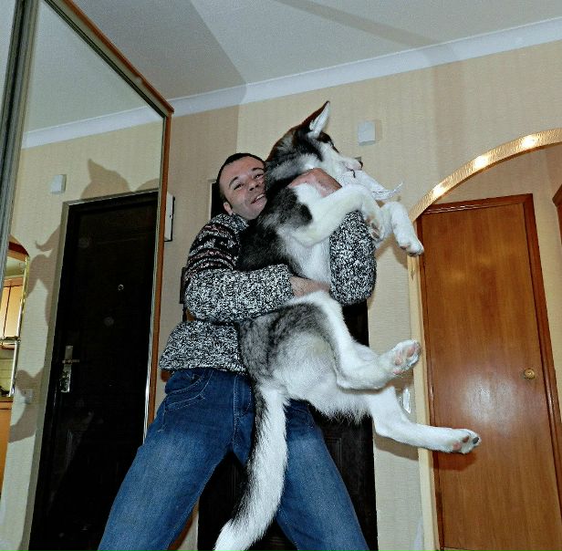 №26, Дмитрий Кобец, 47 лет, Луганск №26, Дмитрий Кобец, 47 лет, Луганск