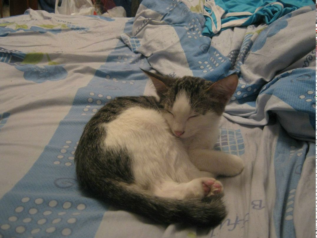 Сергей Фирсанов | Москва