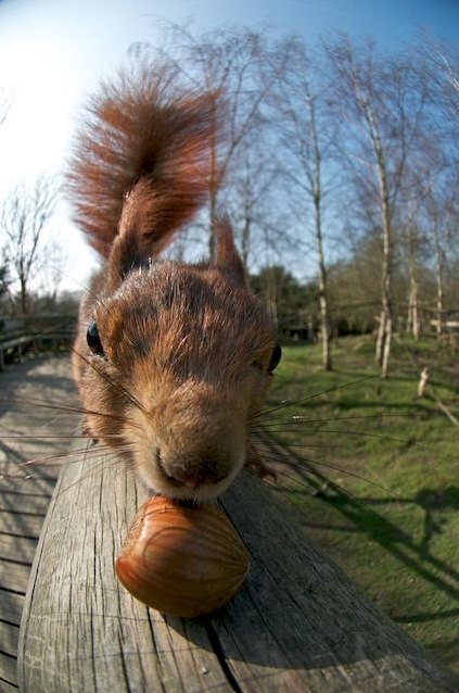 Иван Ванюшичев | Санкт-Петербург