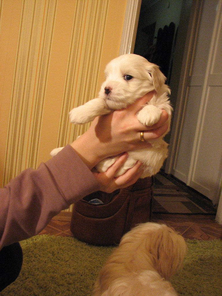 Марьяна Квиткова | Кропивницкий / Кировоград