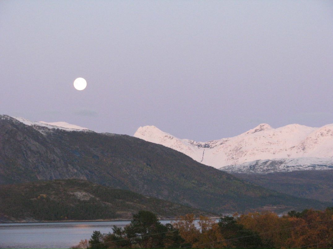 Ирина Кучеренко | 