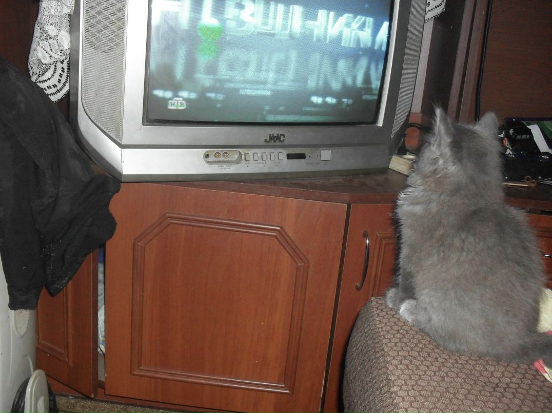 Юля Новикова | Солнечногорск