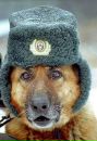 Фотография Роман Тарасов