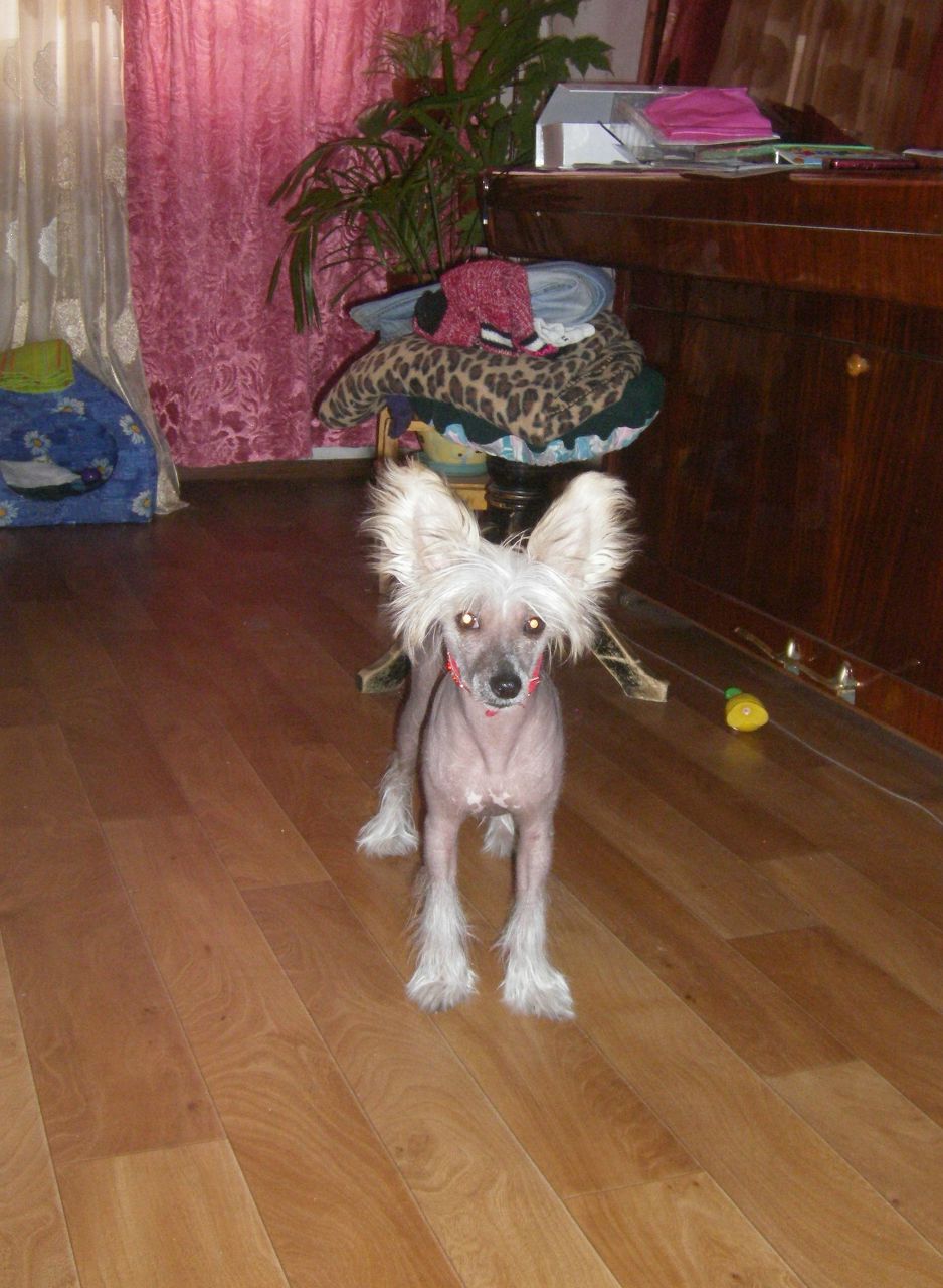 Наталья Геккель | Санкт-Петербург