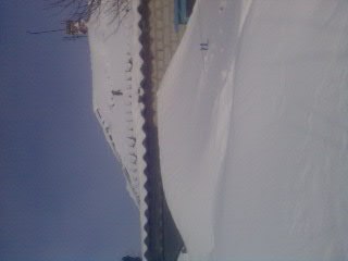 №4, Владимир Приходько №4, Владимир Приходько