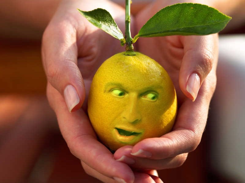 Николай Иванасын | Севастополь