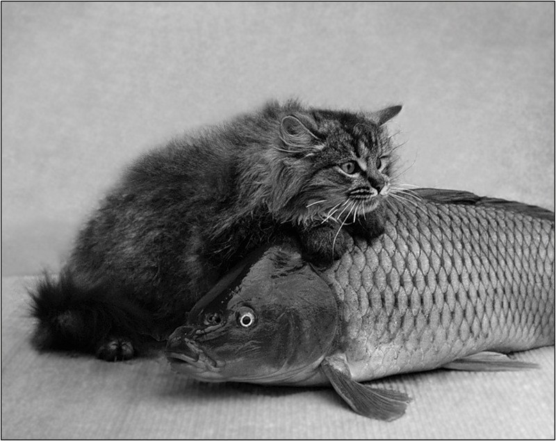 Оксана Трубаева | Москва