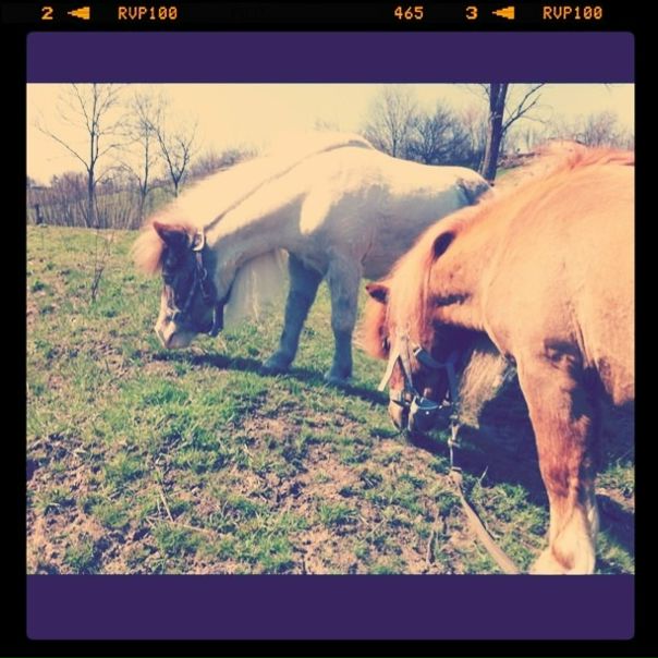 №72, Катерина Ковриженко, 37 лет, Киев №72, Катерина Ковриженко, 37 лет, Киев