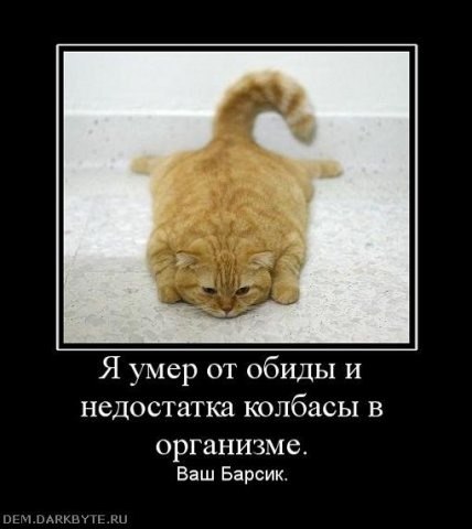 Анастасия Шилова | Москва