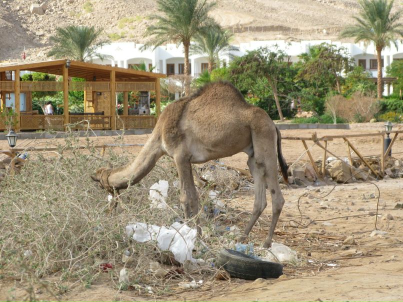 Ольга Зинова | Санкт-Петербург
