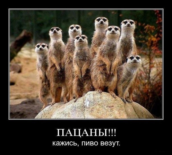 Евгений Алексеев | 