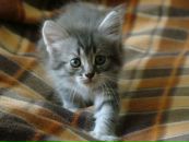 №24 Екатерина Селюнина 01.10.1975: профиль, фото, статус - ВКонтакте