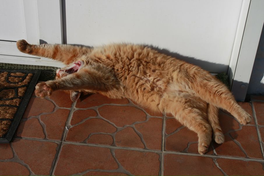 №1, Катя Уварова, Санкт-Петербург №1, Катя Уварова, Санкт-Петербург