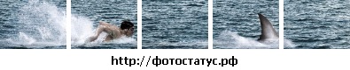 №6, Олег Пластун, 37 лет, Севастополь №6, Олег Пластун, 37 лет, Севастополь