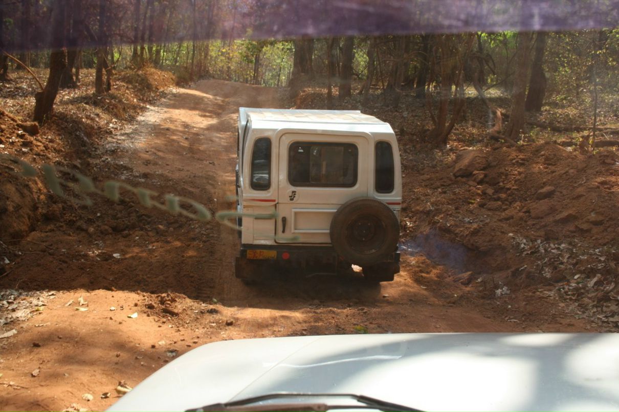 Анастасия Городецкая | Михайловка