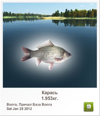 Kolia Koshelinsky | Тернополь