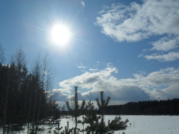 №129, Татьяна Михеева-Яковлева, 60 лет, Череповец №129, Татьяна Михеева-Яковлева, 60 лет, Череповец