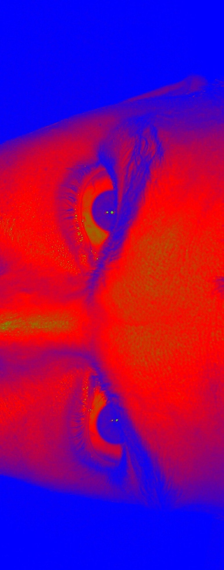 Дмитрий Загребин 