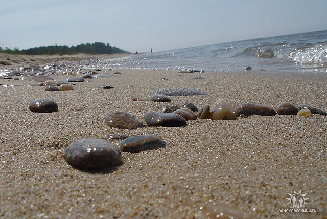 Дмитрий Жебровский | Иркутск