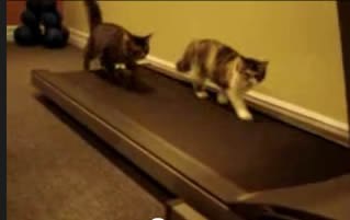 №83, Игорь Дудин №83, Игорь Дудин