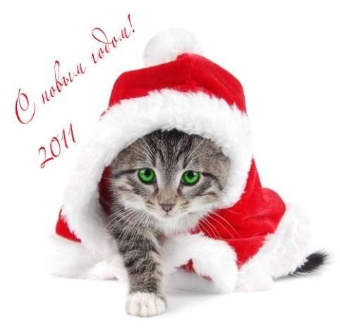 №20, Александр Кицюк, 43 года, Черновцы №20, Александр Кицюк, 43 года, Черновцы