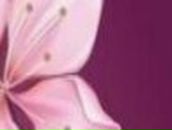 Елена Каргина | Краснодар