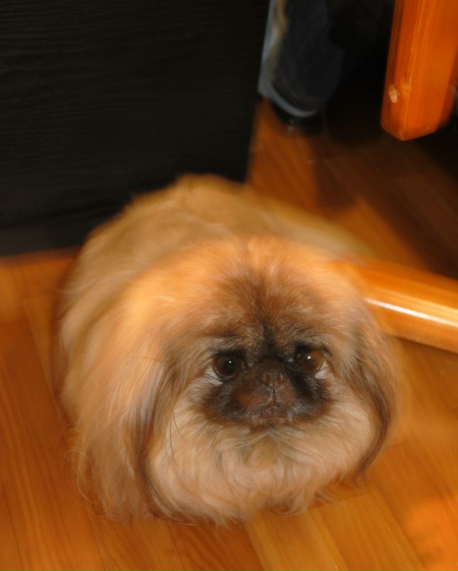 Нина Епифанова | Псков