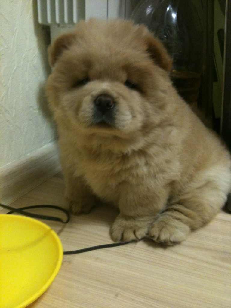 Кристина Хегай | Владивосток